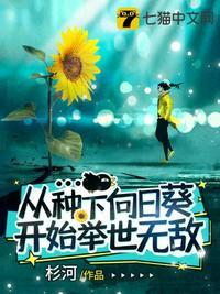 怎么种向日葵
