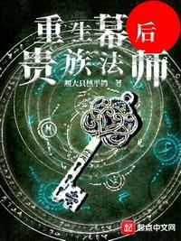 重生幕后贵族魔法师
