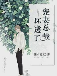 沐暖暖慕霆枭全文免费阅读第500章