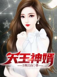 天王神婿 酷匠网