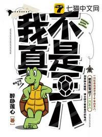 我真不是王八TXT免费