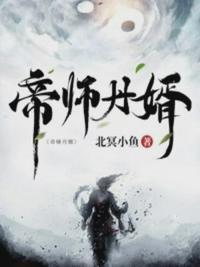帝师王婿全书免费
