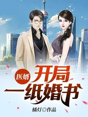 医婿完整版
