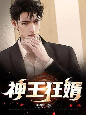 神王狂婿完整版免费
