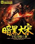 午后方晴暗黑大宋