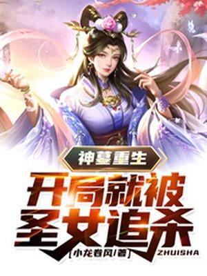 重生神墓的完结