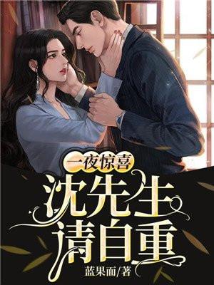 一夜惊喜沈先生请自重免费