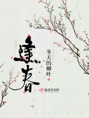 冯橙陆玄免费阅读
