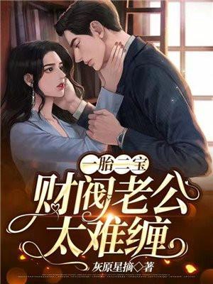 一胎二宝总裁追妻上瘾免费阅读