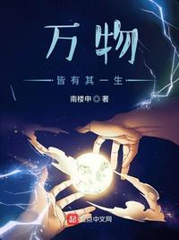 我能看到万物法则