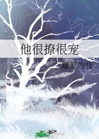 宁蓁陆执名字