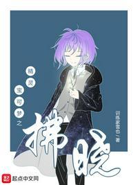 精灵宝可梦之神兽