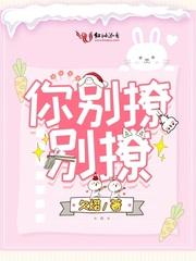 你别撩啊全文阅读