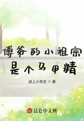 傅爷的小祖宗是个马甲精百度