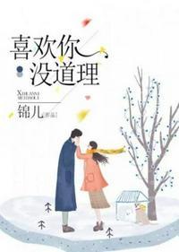 喜欢你没道理公子衍免费阅读
