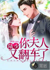 陆少夫人又把你拉黑了