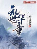 乱世华章什么意思
