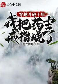 我把药尘戒指烧了穹龙