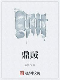 鼎贼未删节