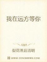 我在远方等你广场舞