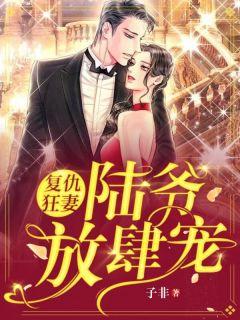 洛晚陆寒川全文免费阅读