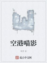 空港喵影全本免费阅读
