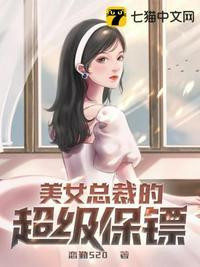美女总裁的超级保镖叶