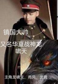 镇国大将军是什么意思