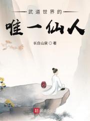 武道世界里的道士