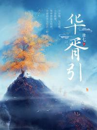华胥引歌词