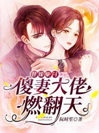 傻子老婆是大佬