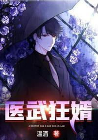 医武狂婿陈霄顾影香
