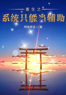 我有点辅助系统