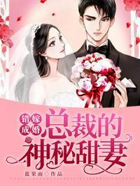 总裁的神秘甜妻完整版