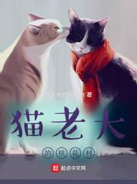 猫老大的桃花村笔趣阁