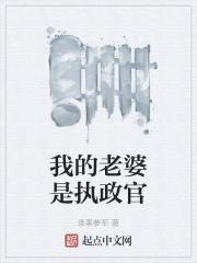 我的老婆是执政官全本免费