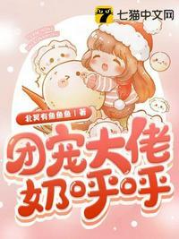 团宠大佬奶呼呼锦鲤沐锦鲤沐清风