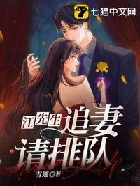 江先生隐婚挚爱