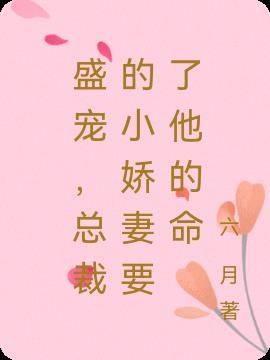 总裁盛宠小娇妻第二季免费观看
