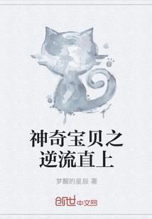 神奇宝贝之逆天绅士免费阅读全文