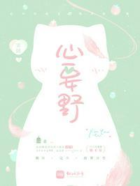 歌手心要野