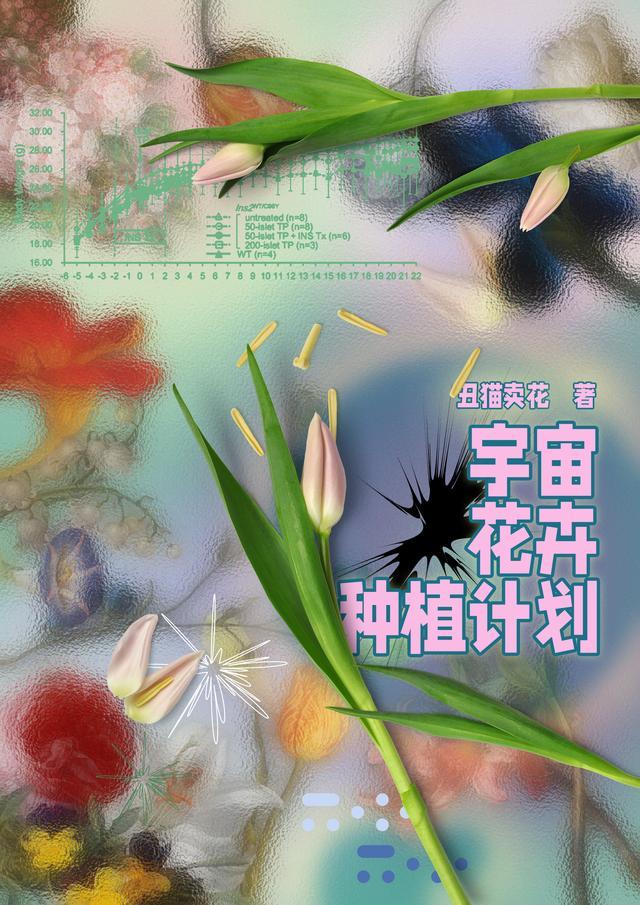 宇宙化分