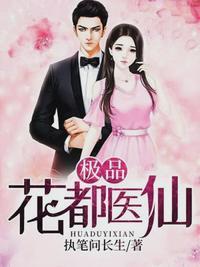 极品花都医仙全本