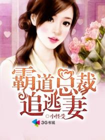 霸道总裁追妻哪里逃