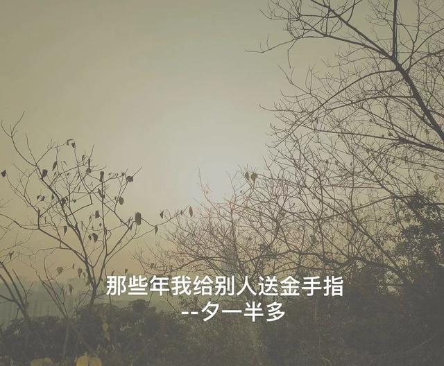 我做夫人那些年游戏金手指