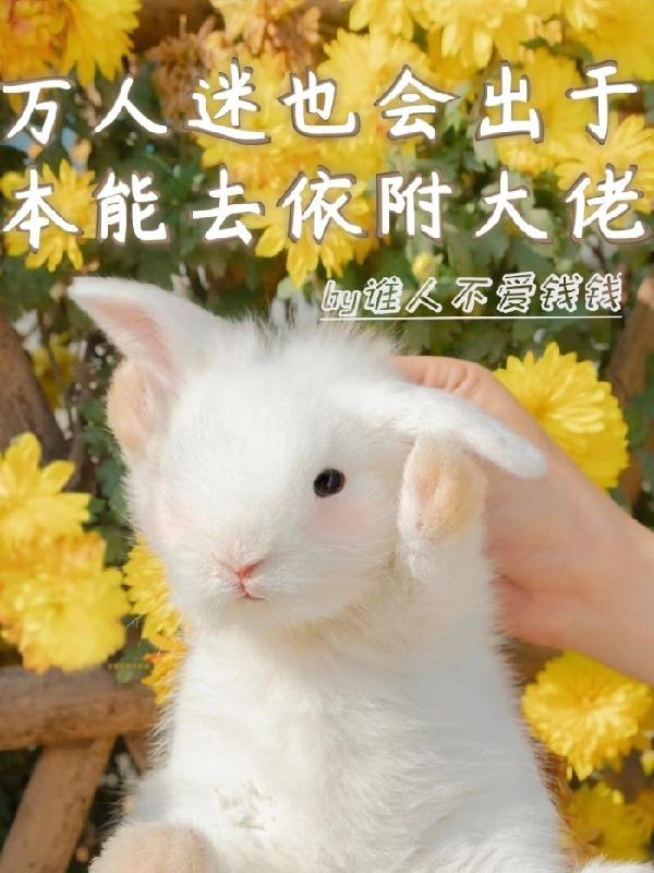 万人迷brant.b