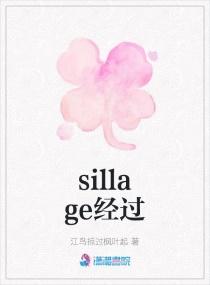 Sillage 翻译