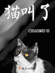 猫叫了个咪是啥意思