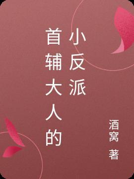 首辅大人最