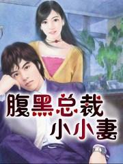 腹黑总裁小小妻莱曼